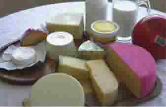 Cooperativa de Laticinios - Foto 1