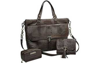 Cleusy Bolsas - Foto 1