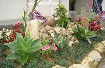 Garden Flores - Foto 1
