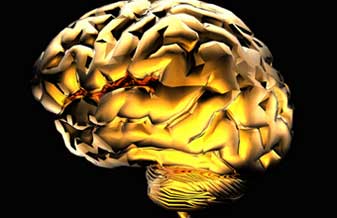 Luiz Henrique Milani de Lima - Foto 1