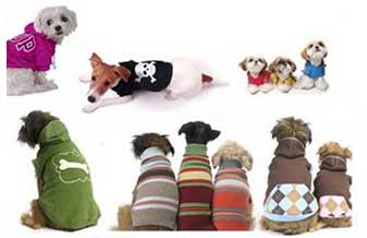 Agrovetec Pet Shop - Foto 1