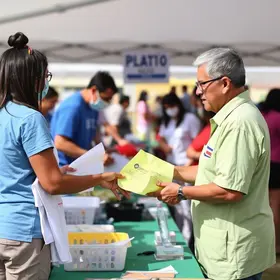 Apampesp mutirões