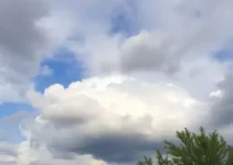 previsão do tempo em Assis
