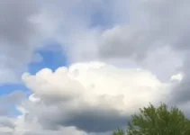 previsão do tempo em Assis