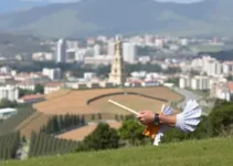 concurso Professor Assistente UNESP Assis SP