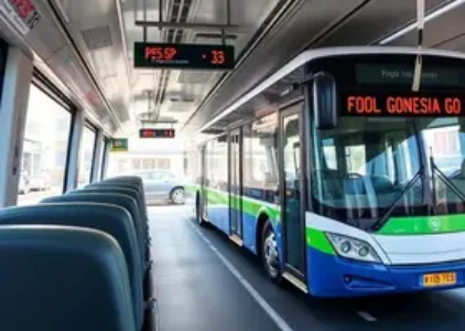 licitações de ônibus