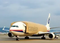 transporte de carga aérea