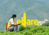 programa ALI Produtividade