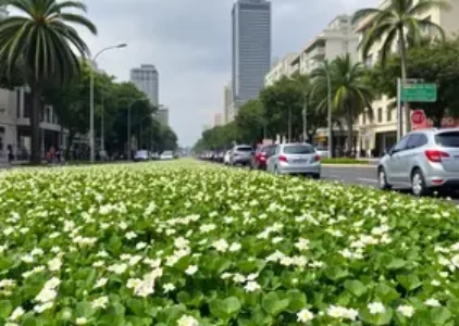 Últimas noticias de Assis