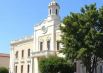 Organizações Sociais de Saúde