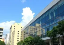 investimentos em hospitais geridos por OSs