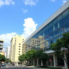 investimentos em hospitais geridos por OSs
