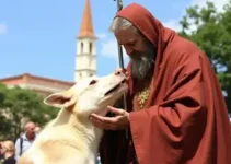 bênção dos animais
